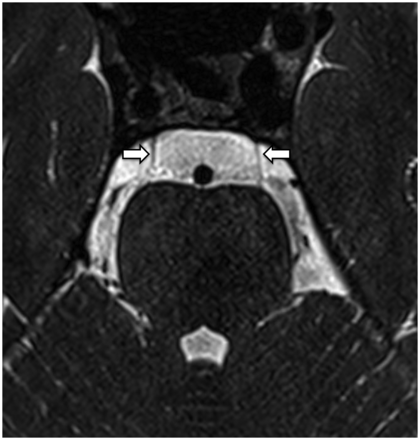 FIG 10.