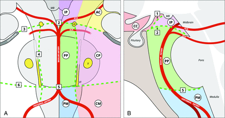 FIG 6.