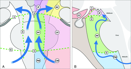 FIG 7.