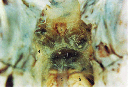 FIG 8.