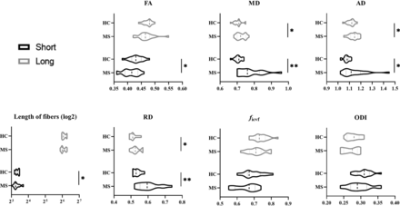 FIG 2.