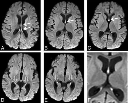 FIG 1.