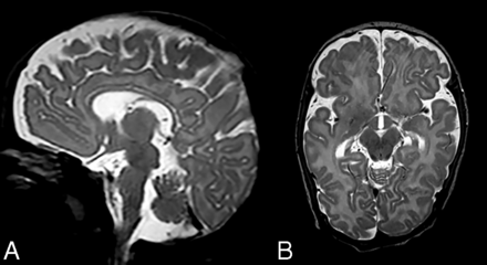 FIG 7.
