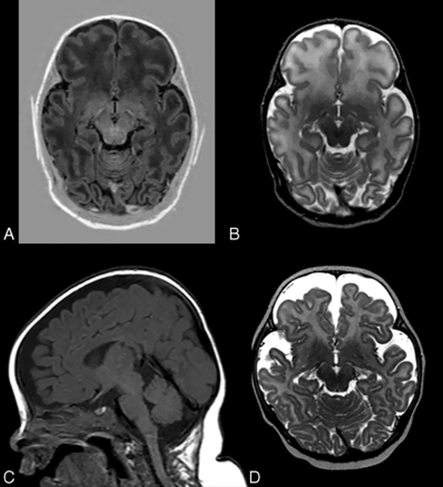 FIG 8.