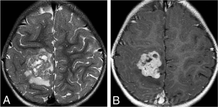 FIG 7.