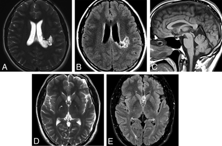 FIG 8.