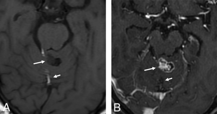 FIG 10.