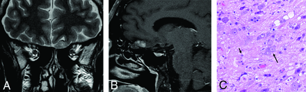 FIG 6.
