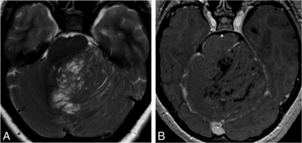 FIG 7.