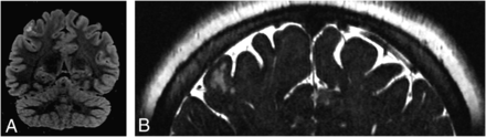 FIG 8.