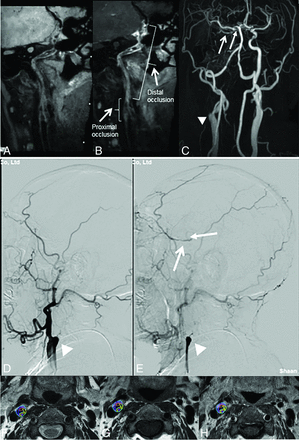 FIG 3.