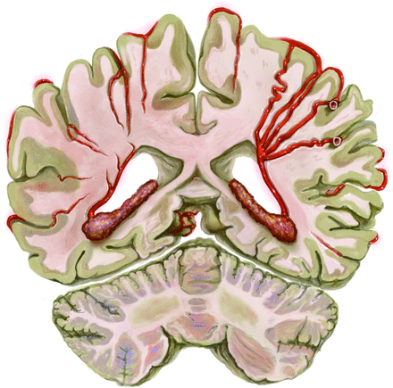 FIG 1.