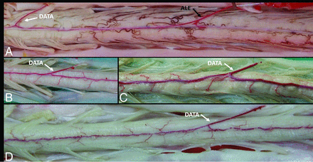 FIG 1.