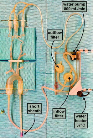 FIG 2.