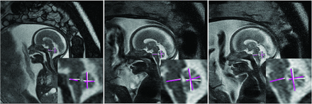 FIG 7.