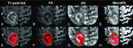 FIG 1.