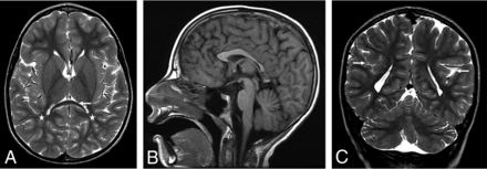 FIG 7.