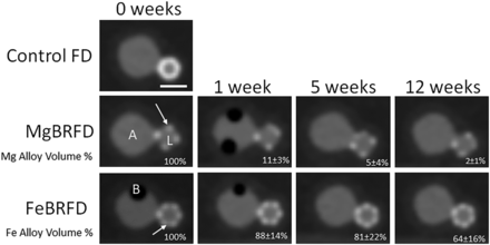 FIG 3.
