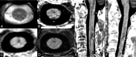 FIG 5.