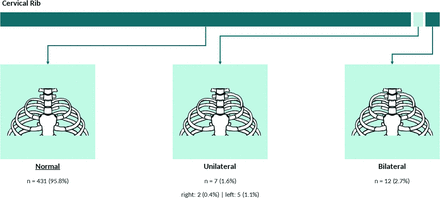 FIG 3.