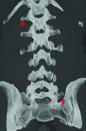 FIG 7.