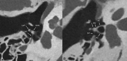 FIG 9.