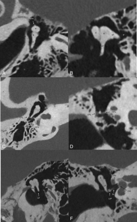 FIG 8.