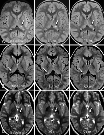 FIG 3.