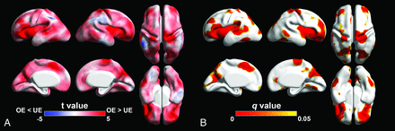 FIG 1.