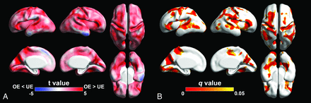 FIG 2.