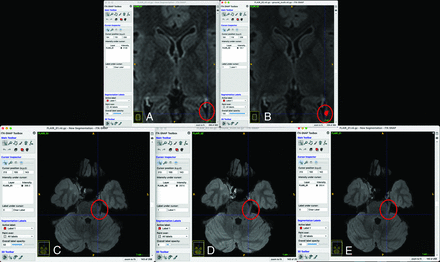 FIG 6.