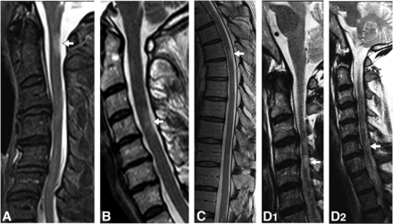 FIG 3.