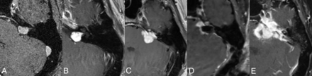 FIG 10.