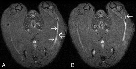 Fig 2.