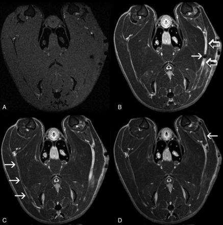Fig 3.