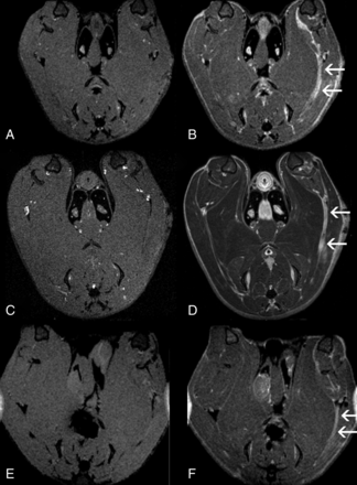 Fig 4.