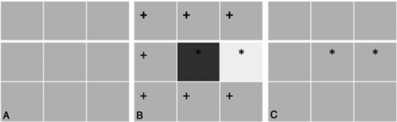 Fig 1.