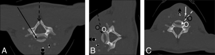 Fig 1.