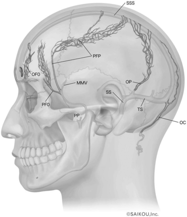 Fig 7.