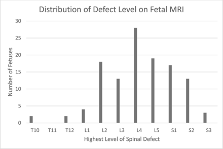 Fig 1.