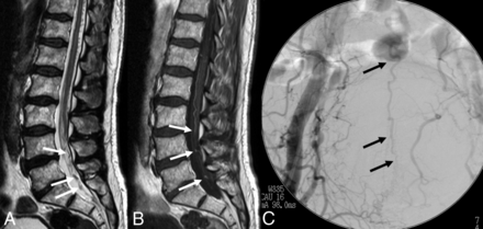 Fig 3.