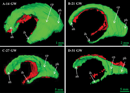 Fig 4.