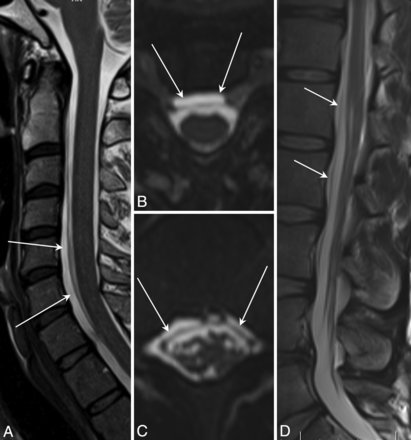 Fig 1.