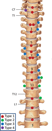 Fig 6.
