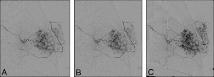 Fig 1.
