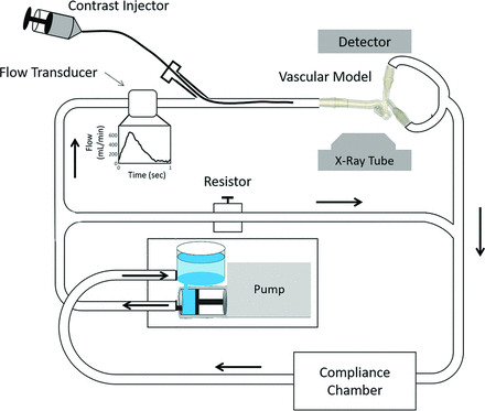 Fig 1.