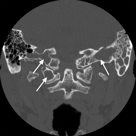 Fig 7.