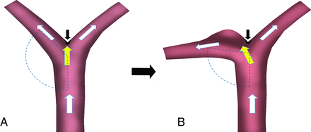 FIG 5.