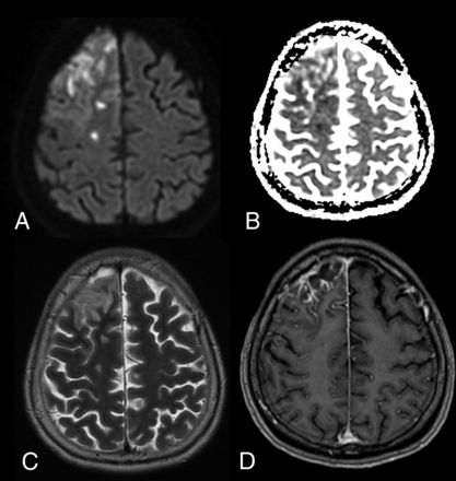FIG 7.