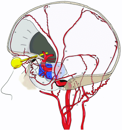 FIG 4.